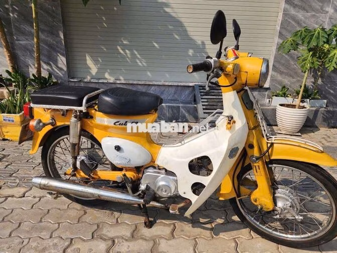 Honda Cub Little 50cc có đề💖bs82💝