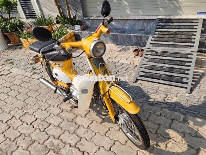 Honda Cub Little 50cc có đề💖bs82💝