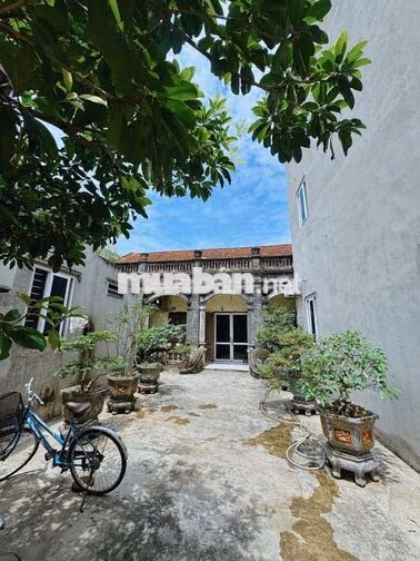 CHÍNH CHỦ BÁN 238M² ĐẤT THỔ CƯ XUÂN CANH, ĐÔNG ANH - SỔ RIÊNG
