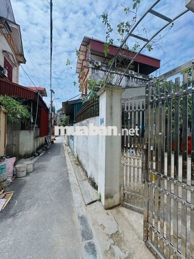 CHÍNH CHỦ BÁN 238M² ĐẤT THỔ CƯ XUÂN CANH, ĐÔNG ANH - SỔ RIÊNG