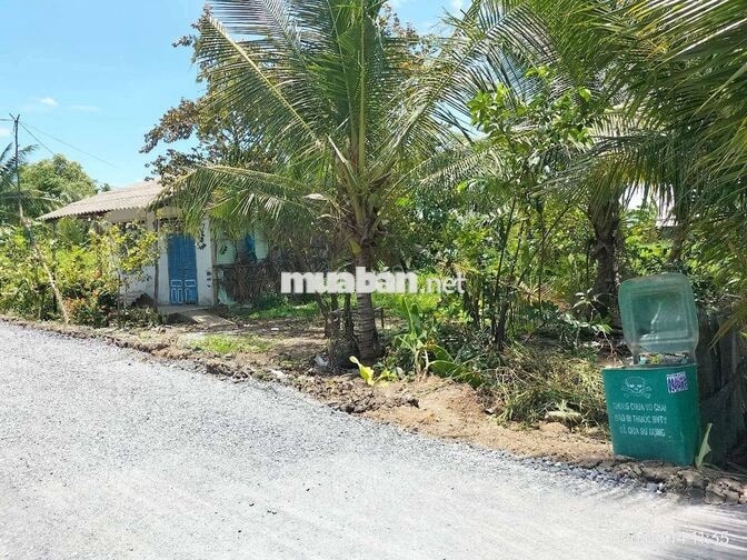 Chính chủ cần bán 1350m² đất vườn, Cầu Bình Xuân,TP Gò Công,giá 1,3ty