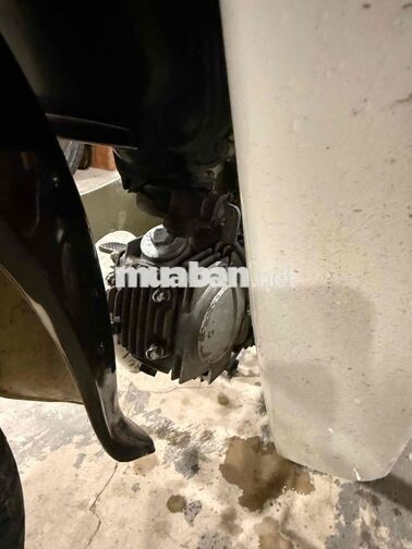 Honda Dream Boss Trắng Tím Xe số