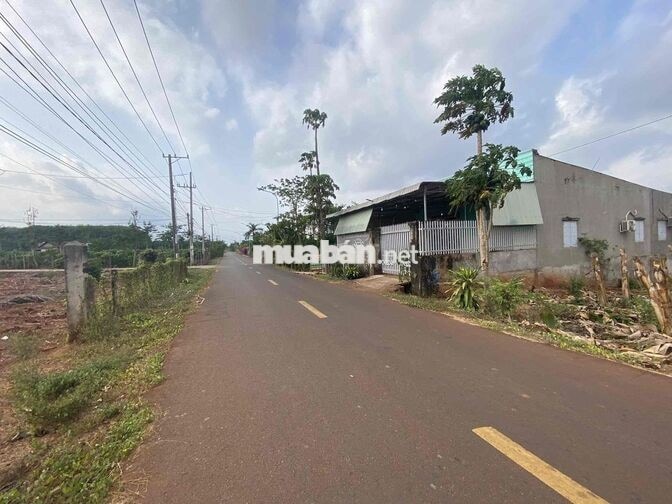 Chính chủ bán đất full hồng 50m mặt tiền giá chỉ 1 tỷ 9