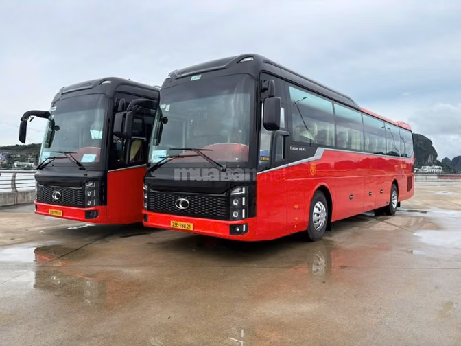 Cho thuê xe từ 4 đến 45 chỗ ,và xe Dcar -  Limosin