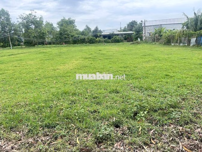 1000 M2 đất lúa ấp Đức Hạnh 1, Đức Lập Hạ