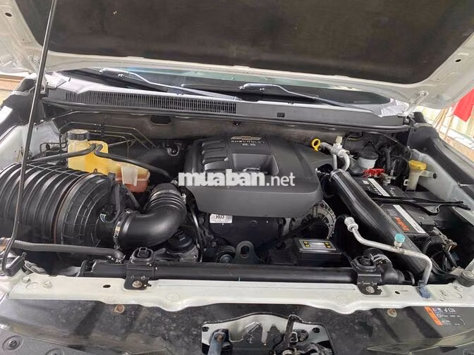 Chevrolet Colorado Trắng Tự động may dầu