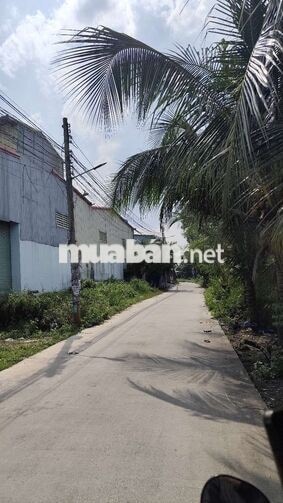 Cần bán gấp lô đất thổ cư 100m2/giá 700tr
