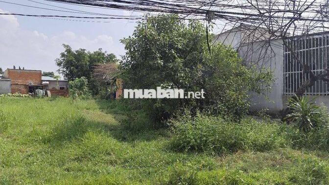 Cần bán gấp lô đất thổ cư 100m2/giá 700tr