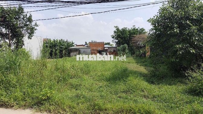 Cần bán gấp lô đất thổ cư 100m2/giá 700tr