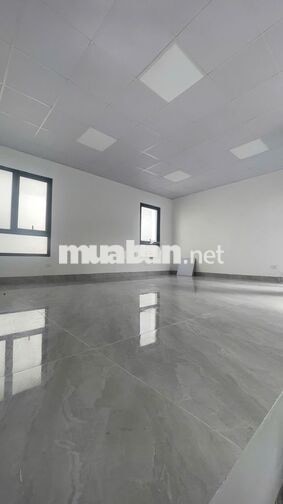 Cần gấp cho thuê biệt thự Dương Nội hoàn thiện đẹp. Gần Aeol Mall