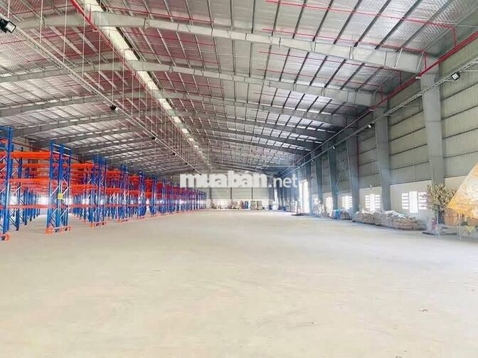 Cho thuê kho xưởng Huyện Thạnh Hoá .Tỉnh Long An