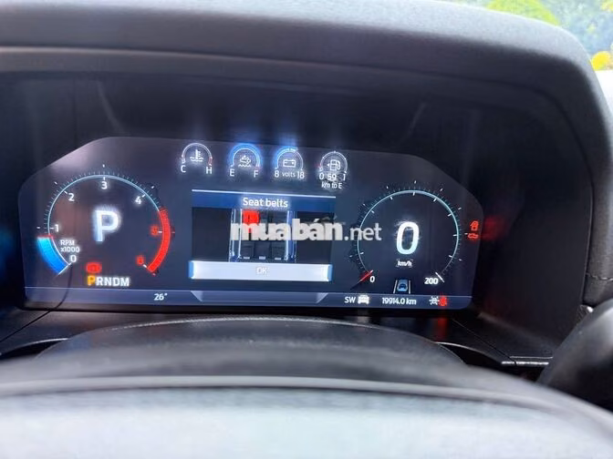 Ford Raptor 2024 Xám 18000 km