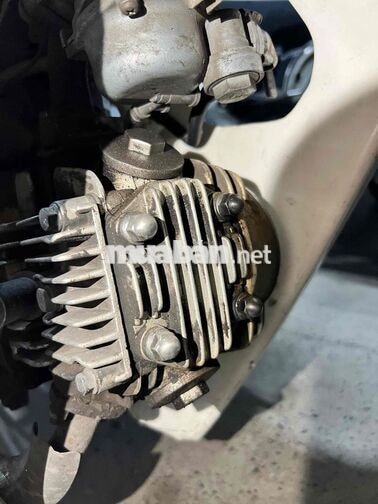 Honda Dream Nâu, Trắng Xe số