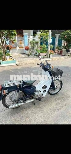 Honda Cup 50cc Xanh trắng