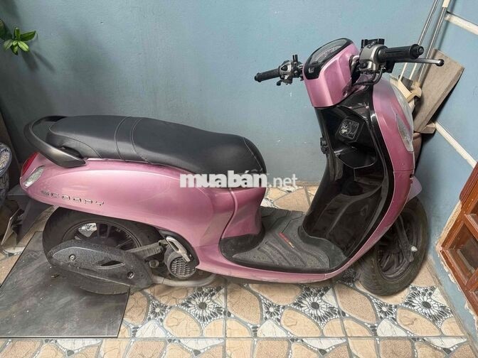 cần bán scoopy 2024 nguyên bản