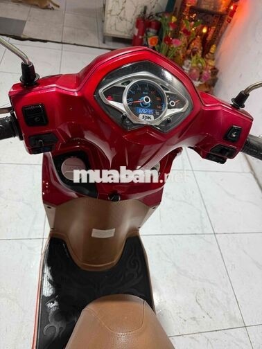 SYM Shark mini 2023 Đỏ 9chủ BSTP