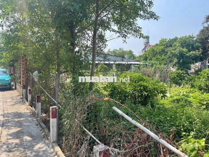 ĐẤT BIỆT THỰ NGANG 20M 439M2 ĐẠI LỘ BÌNH DƯƠNG