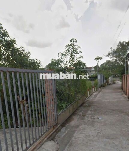 ĐẤT BIỆT THỰ NGANG 20M 439M2 ĐẠI LỘ BÌNH DƯƠNG