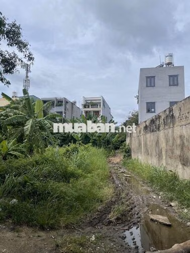 Bán đất 12x20 5,2 tỷ ở Phường Tân Thới Hiệp, sát khu dân cư Tân Tiến