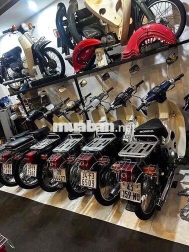 Honda Cub 50cc Đa dạng