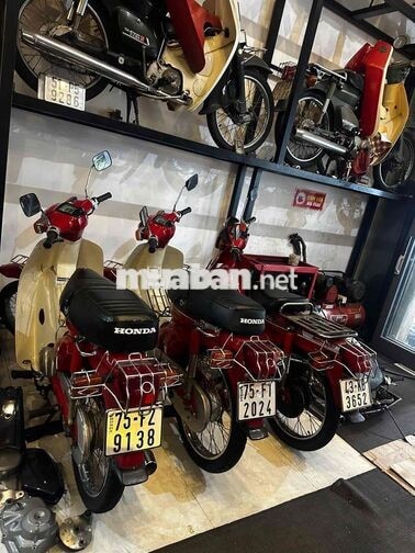 Honda Cub 50cc Đa dạng