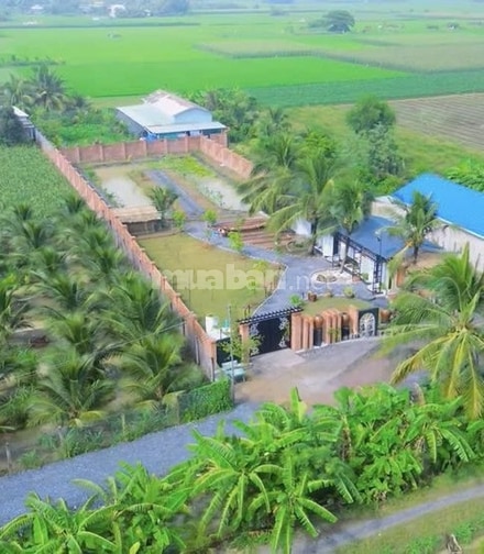 Bán đất thổ đô thị, bán kính 500m có đầy đủ mọi tiện ích, sổ hồng bao 