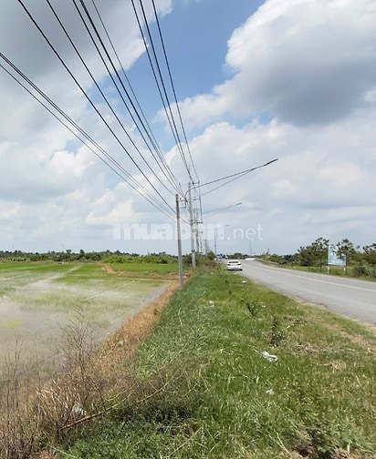 Bán đất thổ đô thị, bán kính 500m có đầy đủ mọi tiện ích, sổ hồng bao 