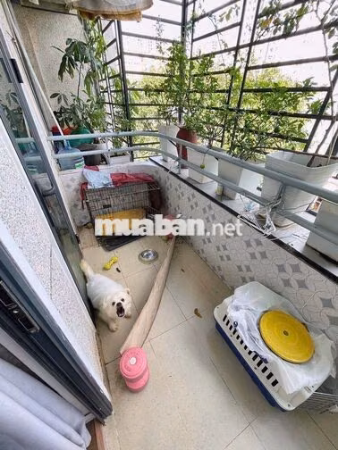 76M2 CHỈ 3.18 TỶ - CĂN HỘ LẦU 5 TẠI CHUNG CƯ A9 BẮC ĐINH BỘ LĨNH