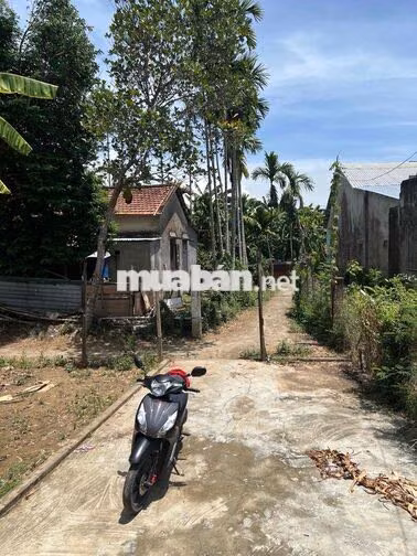 SỤP HẦM ĐẤT CHÍNH CHỦ TRUNG TÂM THỊ TRẤN ÁI NGHĨA