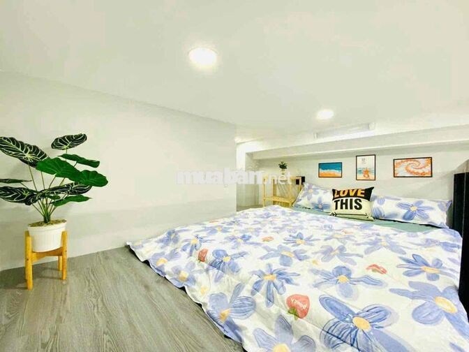 khai trương CĂN HỘ FULL NỘI THẤT BAN CÔNG THOÁNG NGAY LÊ TRỌNG TẤN