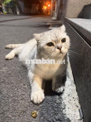 Bán nhà đẹp dọn vào ở ngay khu quận 3!!!💯