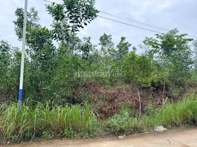 Công ty đấu giá hợp danh Sao Việt 