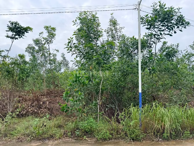 Công ty đấu giá hợp danh Sao Việt 