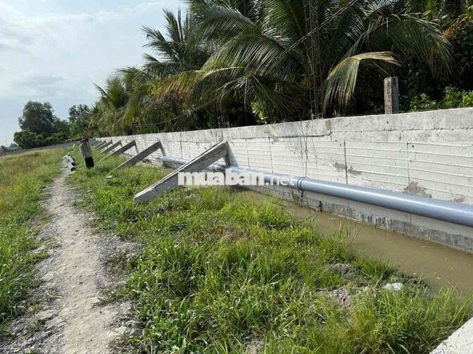 Bán đất MT vành đai TP Tân An/ Long An - TL834B