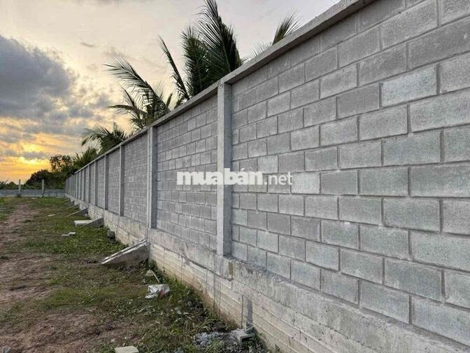 Bán đất MT vành đai TP Tân An/ Long An - TL834B