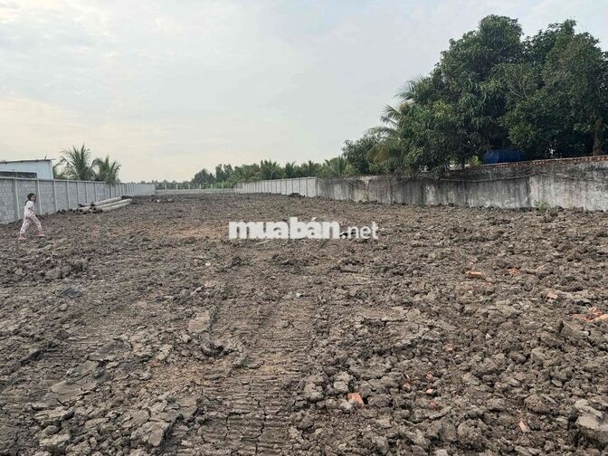 Bán đất MT vành đai TP Tân An/ Long An - TL834B