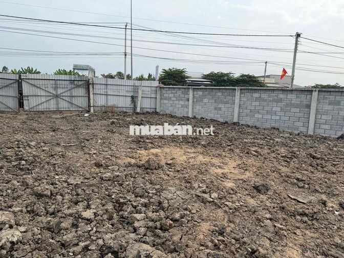 Bán đất MT vành đai TP Tân An/ Long An - TL834B