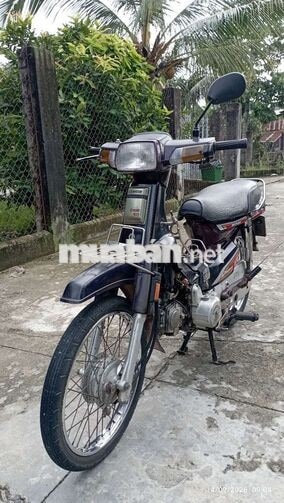 Dream TQ biển 70