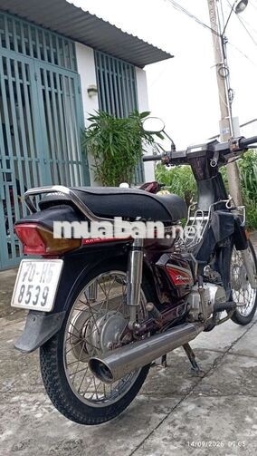 Dream TQ biển 70