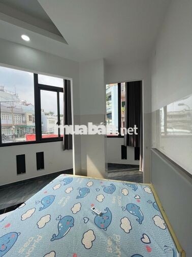 Bán nhà mặt tiền Hồ Biểu Chánh, P,4, Q.8, 111.4m², 12PN, có thang máy