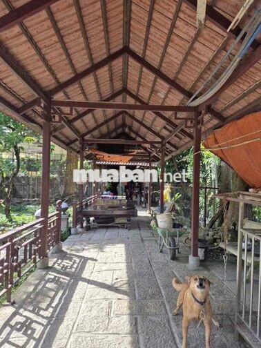 chính chủ gửi Biet thự vườn dt 40x58 giá 24 ty bot lọc