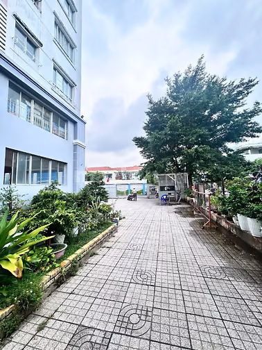 CC Bông Sao A P5 Q8 48,6m2 SHR lâu dài, thang máy hỗ trợ NH. HHMG 30TR