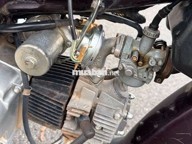 Honda Dream Thái Đỏ mận