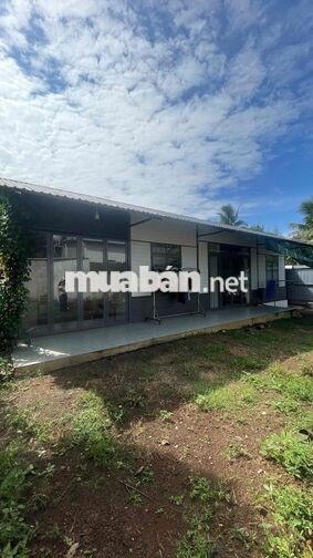 đất vườn sầu riêng có nhà sẵn 1.000m chỉ 2,3ty Thương lượng