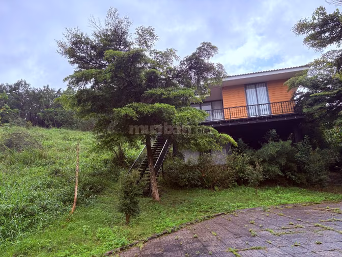 BÁN GẤP ĐẤT VIEW RỪNG THÔNG B'LÁ - THƯƠNG LƯỢNG GIÁ TỐT - CHÍNH CHỦ