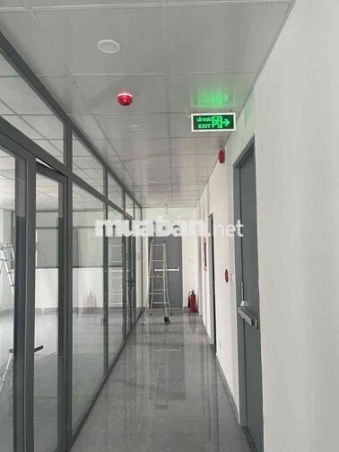 Cho thuê toà nhà HXH Nguyễn Văn Trỗi P 15 Quận Phú Nhuận