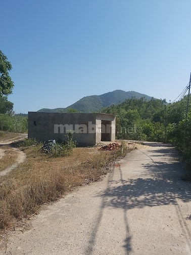 Cần tiền nên cần bán lô Đất + Nhà cấp 4 đang hoàn thiện 680 triệu 
