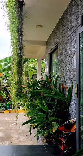 Căn nhà toạ lạc tại xã mỹ yên .không gian yên tỉnh thoáng mát .ao sen 