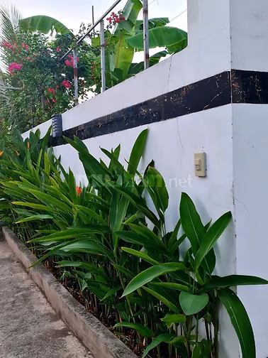 Căn nhà toạ lạc tại xã mỹ yên .không gian yên tỉnh thoáng mát .ao sen 