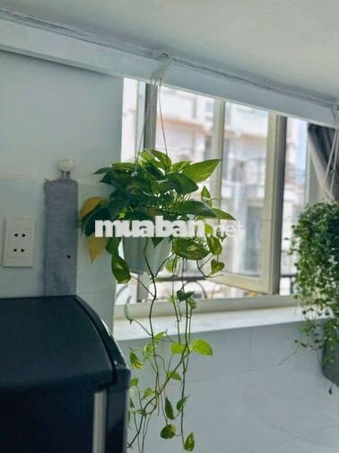 DUPLEX BAN CÔNG - CỬA SỔ THOÁNG NGAY DƯƠNG QUẢNG HÀM - GẦN EMART PVT